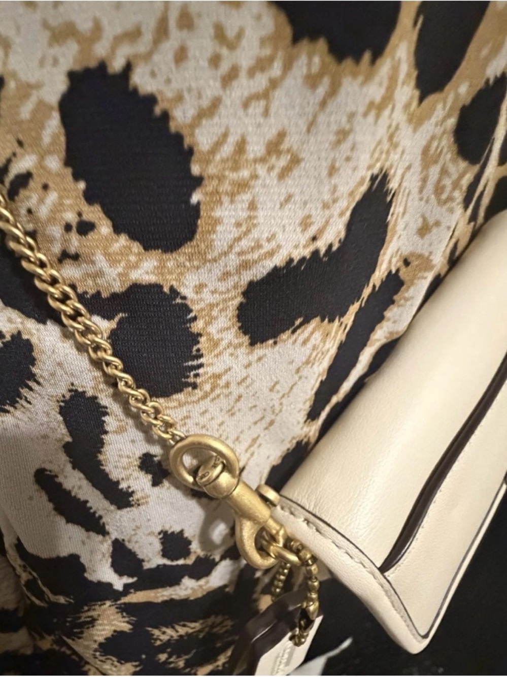 NWOT Coach Glovetanned Leather Mini Dinky Bag Chain Crossbody NWT CZ108 in Chalk - Picture 7 of 8